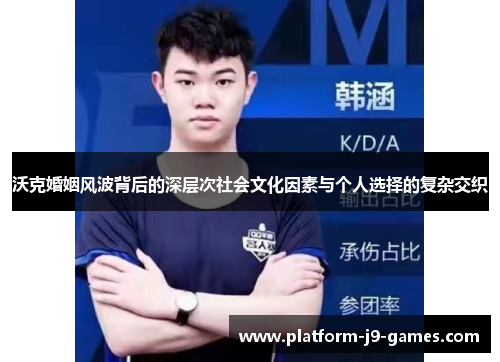 沃克婚姻风波背后的深层次社会文化因素与个人选择的复杂交织