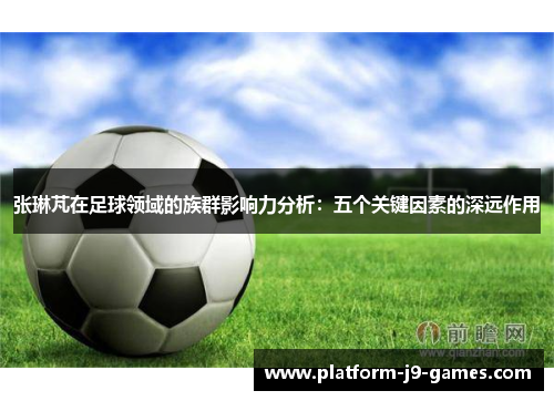 张琳芃在足球领域的族群影响力分析：五个关键因素的深远作用